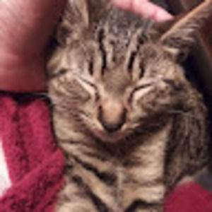 Meet your Posher, Debra